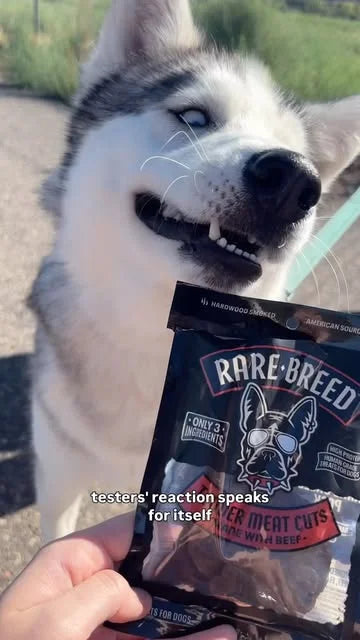 Polo taste-testing Rare Breed treats