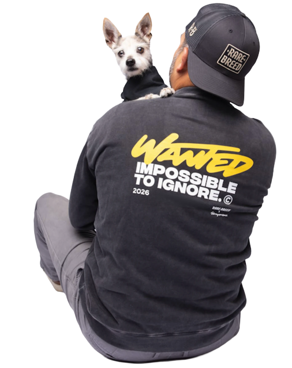 Rare Breed and Stray Project rescue sweatshirt, worn by a supporter holding Pumpkin