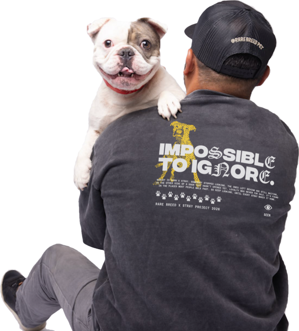 Rare Breed and Stray Project rescue sweatshirt, worn by a supporter holding Pumpkin