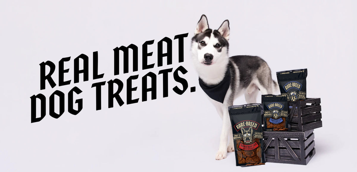 Sky the husky with Rare Breed real meat dog treats