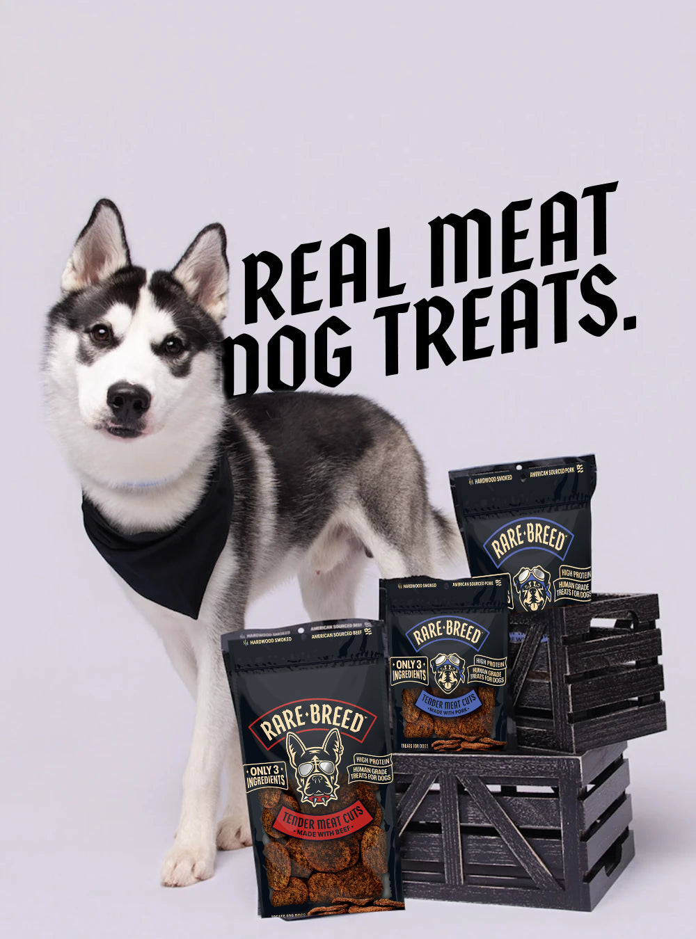 Sky the husky with Rare Breed real meat dog treats